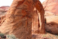 rainbow arch