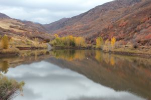 reservoir reflects fall foliage in the canyon"