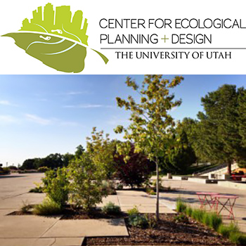 Center for Ecological Planning and Design logo and image