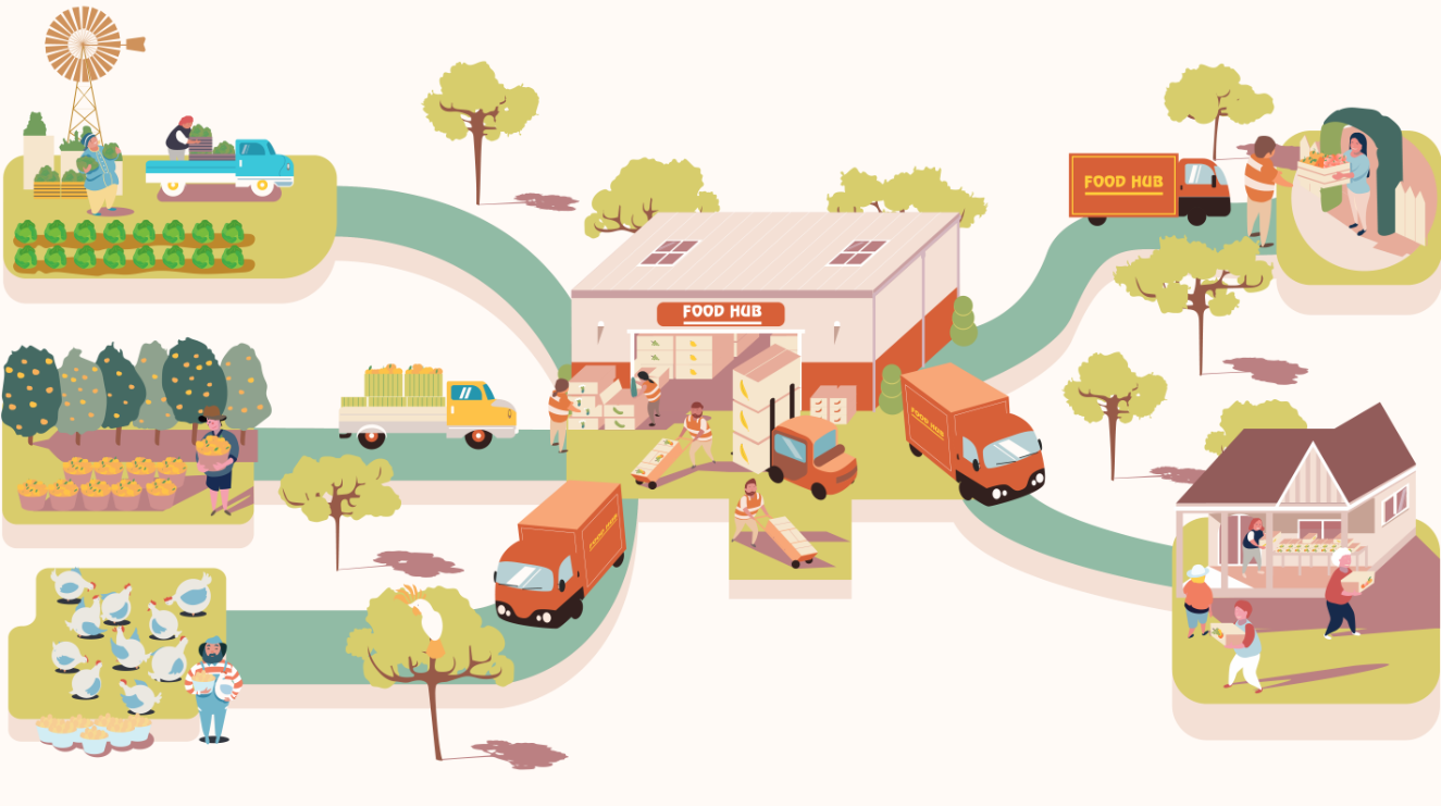 illustration of food production and distribution through central hub