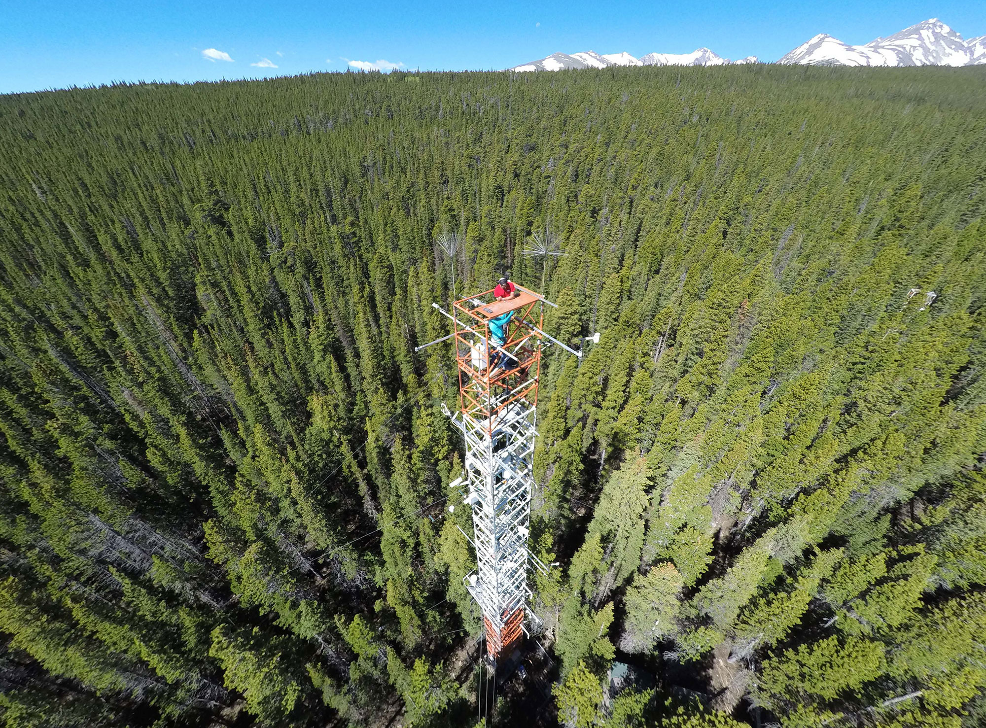 aerial view of instrument tower above evergreen trees